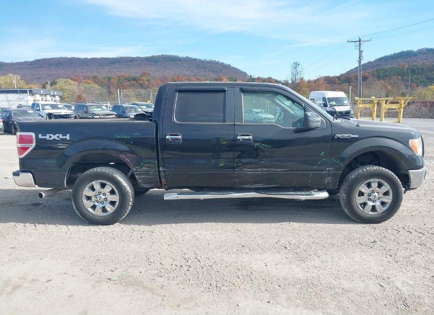 Photo 13 of 2010 Ford F-150 FX4/HARLEY-DAVIDSON/KING RANCH/LARIAT/PLATINUM/XL/XLT (VIN 1FTFW1EV4AFC06195)