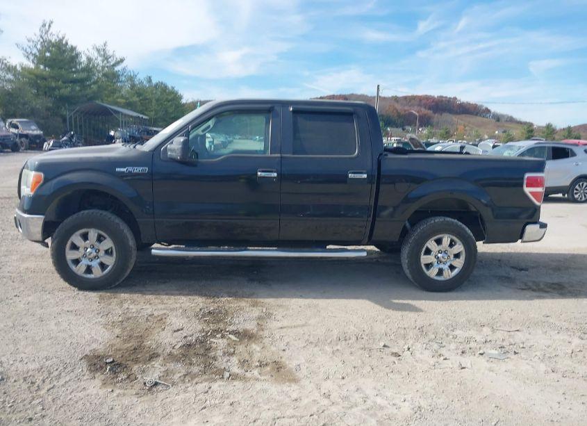 Photo 14 of 2010 Ford F-150 FX4/HARLEY-DAVIDSON/KING RANCH/LARIAT/PLATINUM/XL/XLT (VIN 1FTFW1EV4AFC06195)