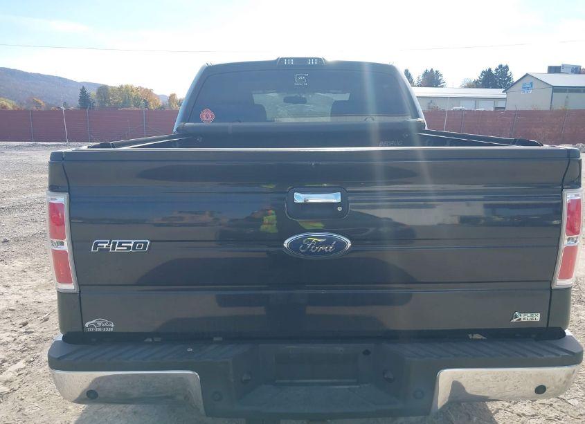 Photo 16 of 2010 Ford F-150 FX4/HARLEY-DAVIDSON/KING RANCH/LARIAT/PLATINUM/XL/XLT (VIN 1FTFW1EV4AFC06195)