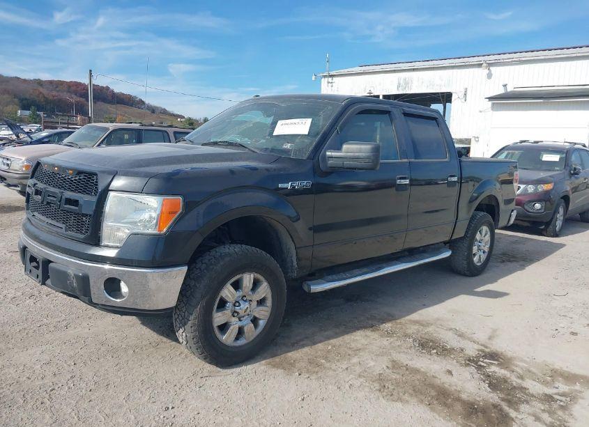 Photo 2 of 2010 Ford F-150 FX4/HARLEY-DAVIDSON/KING RANCH/LARIAT/PLATINUM/XL/XLT (VIN 1FTFW1EV4AFC06195)