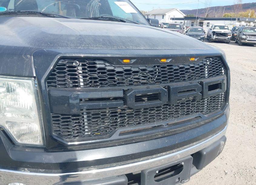 Photo 21 of 2010 Ford F-150 FX4/HARLEY-DAVIDSON/KING RANCH/LARIAT/PLATINUM/XL/XLT (VIN 1FTFW1EV4AFC06195)