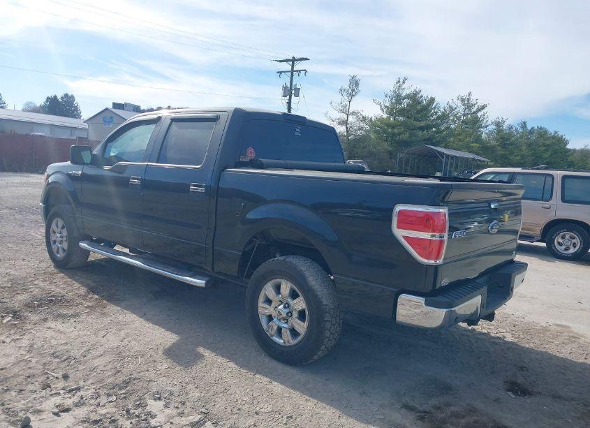 Photo 3 of 2010 Ford F-150 FX4/HARLEY-DAVIDSON/KING RANCH/LARIAT/PLATINUM/XL/XLT (VIN 1FTFW1EV4AFC06195)