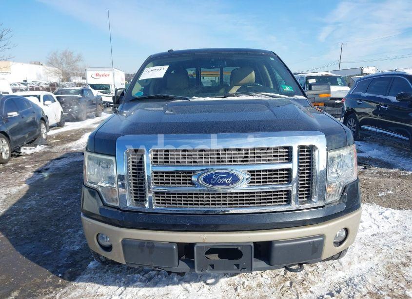 Photo 11 of 2010 Ford F-150 FX4/HARLEY-DAVIDSON/KING RANCH/LARIAT/PLATINUM/XL/XLT (VIN 1FTFW1EV4AFC33235)