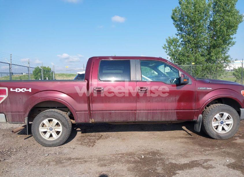 Photo 13 of 2010 Ford F-150 FX4/HARLEY-DAVIDSON/KING RANCH/LARIAT/PLATINUM/XL/XLT (VIN 1FTFW1EV4AFC52920)