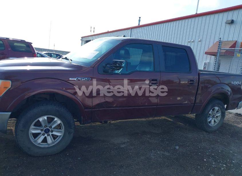 Photo 14 of 2010 Ford F-150 FX4/HARLEY-DAVIDSON/KING RANCH/LARIAT/PLATINUM/XL/XLT (VIN 1FTFW1EV4AFC52920)