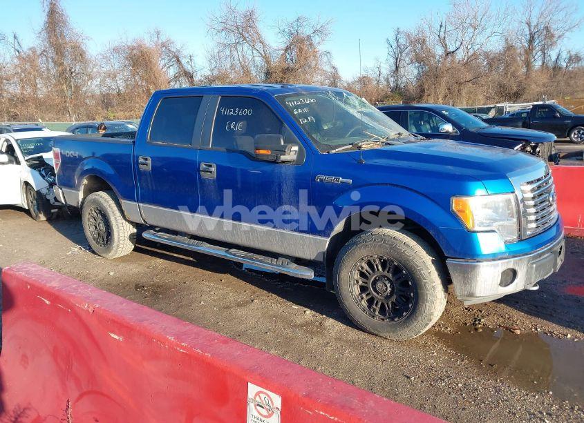2010 Ford F-150 XLT (VIN 1FTFW1EV4AFD10198) main photo