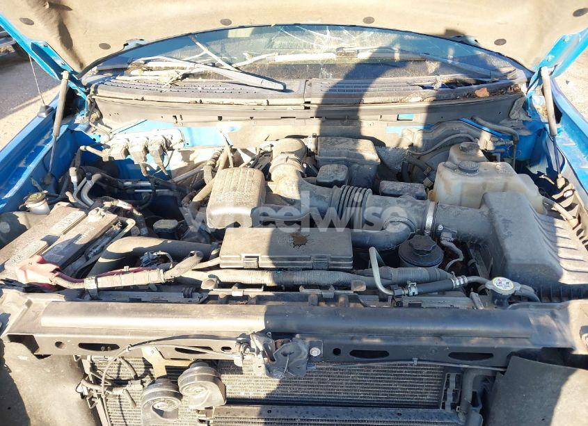 Photo 10 of 2010 Ford F-150 XLT (VIN 1FTFW1EV4AFD10198)