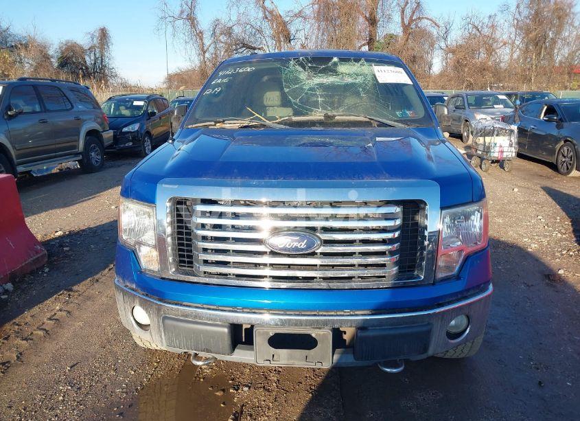 Photo 12 of 2010 Ford F-150 XLT (VIN 1FTFW1EV4AFD10198)