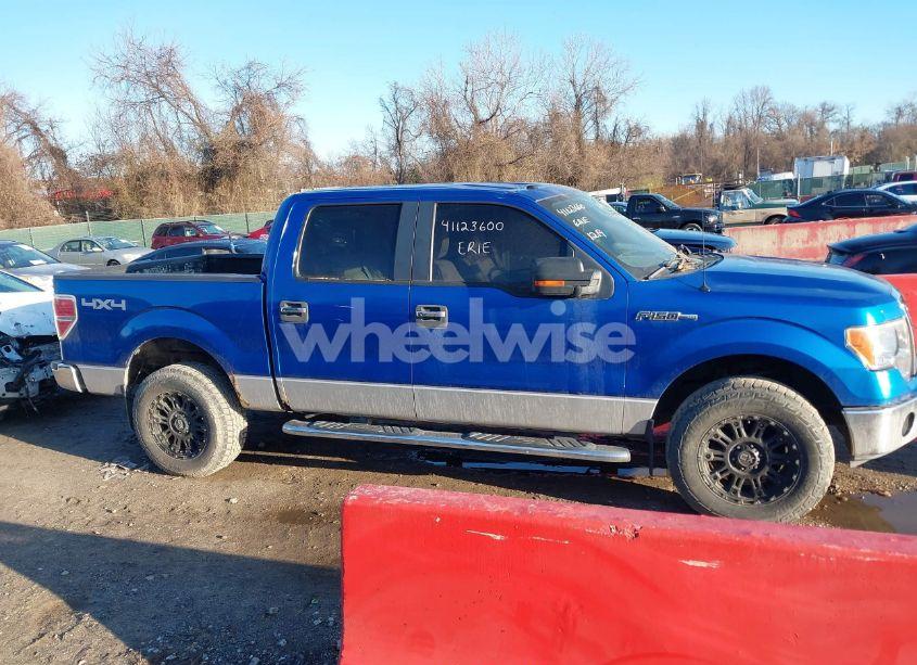 Photo 13 of 2010 Ford F-150 XLT (VIN 1FTFW1EV4AFD10198)