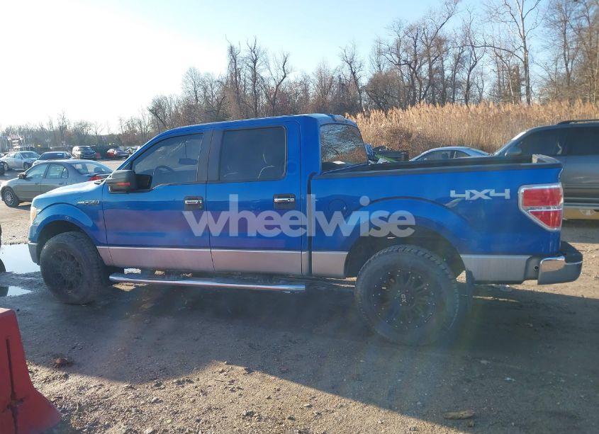 Photo 14 of 2010 Ford F-150 XLT (VIN 1FTFW1EV4AFD10198)