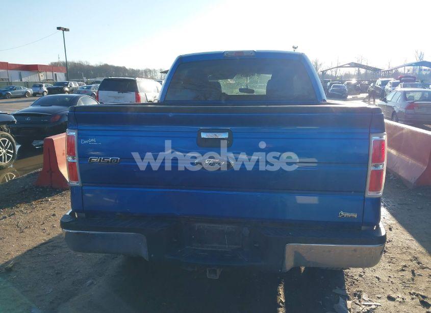 Photo 16 of 2010 Ford F-150 XLT (VIN 1FTFW1EV4AFD10198)