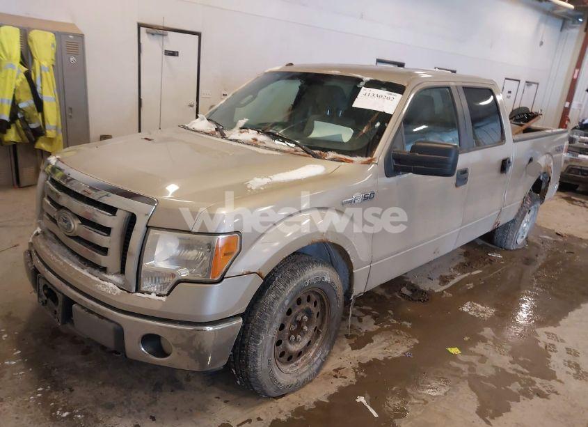 Photo 2 of 2010 Ford F-150 FX4/HARLEY-DAVIDSON/KING RANCH/LARIAT/PLATINUM/XL/XLT (VIN 1FTFW1EV4AFD36638)