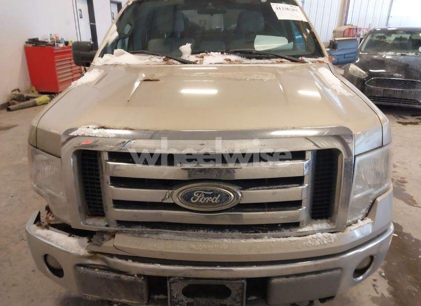 Photo 6 of 2010 Ford F-150 FX4/HARLEY-DAVIDSON/KING RANCH/LARIAT/PLATINUM/XL/XLT (VIN 1FTFW1EV4AFD36638)