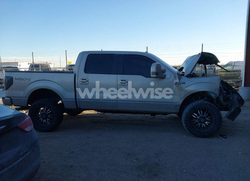 Photo 14 of 2010 Ford F-150 (VIN 1FTFW1EV4AFD79263)
