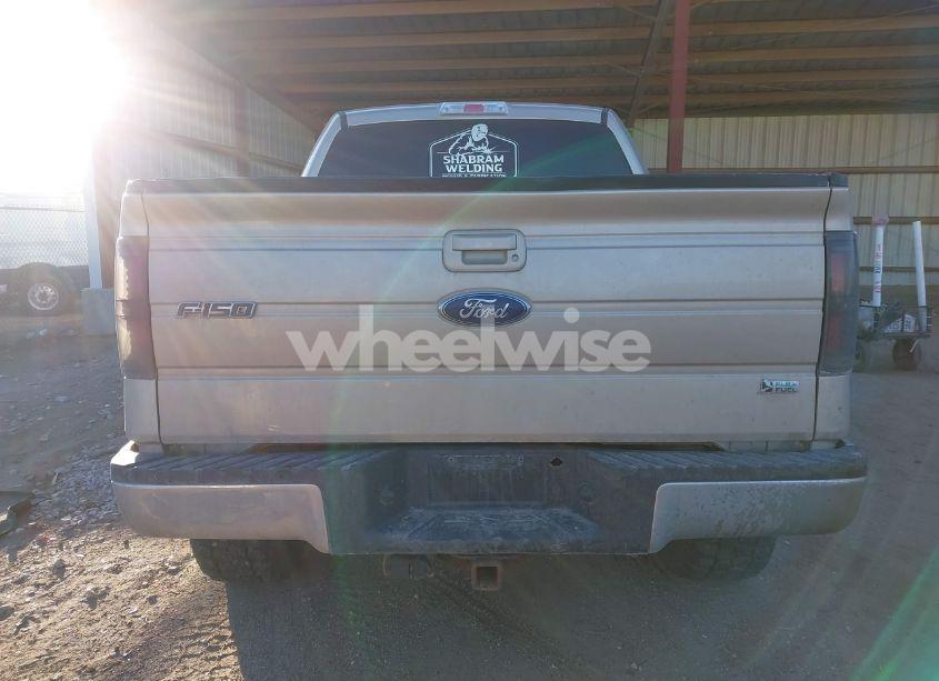 Photo 17 of 2010 Ford F-150 (VIN 1FTFW1EV4AFD79263)