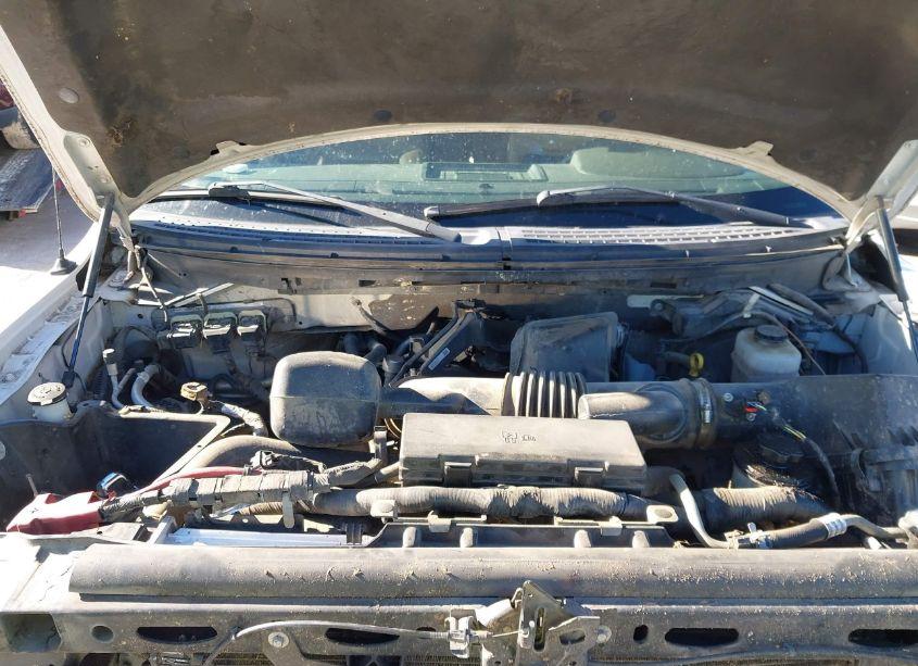 Photo 10 of 2010 Ford F-150 FX4/HARLEY-DAVIDSON/KING RANCH/LARIAT/PLATINUM/XL/XLT (VIN 1FTFW1EV4AKE23205)