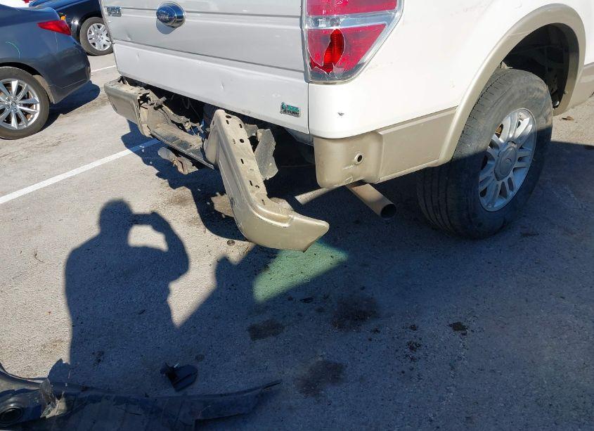 Photo 13 of 2010 Ford F-150 FX4/HARLEY-DAVIDSON/KING RANCH/LARIAT/PLATINUM/XL/XLT (VIN 1FTFW1EV4AKE23205)