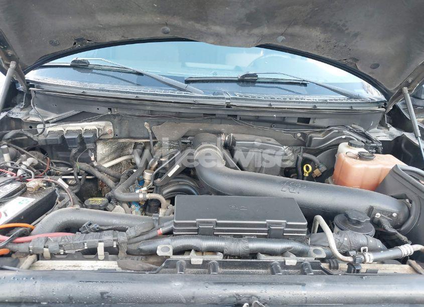 Photo 10 of 2010 Ford F-150 FX4/HARLEY-DAVIDSON/KING RANCH/LARIAT/PLATINUM/XL/XLT (VIN 1FTFW1EV5AFA04840)