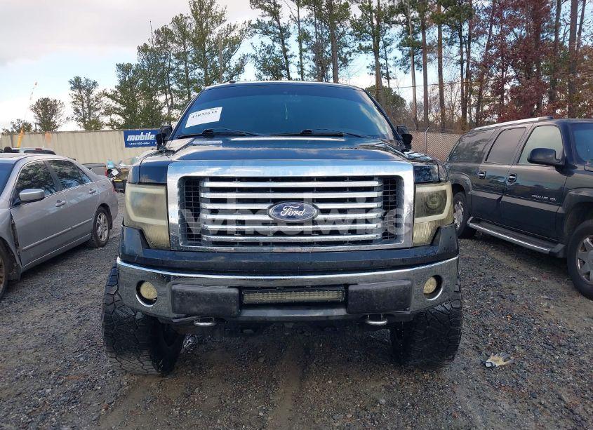 Photo 13 of 2010 Ford F-150 FX4/HARLEY-DAVIDSON/KING RANCH/LARIAT/PLATINUM/XL/XLT (VIN 1FTFW1EV5AFA04840)