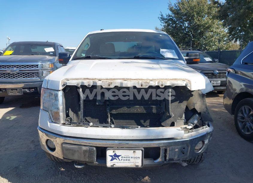 Photo 12 of 2010 Ford F-150 FX4/HARLEY-DAVIDSON/KING RANCH/LARIAT/PLATINUM/XL/XLT (VIN 1FTFW1EV5AFA11755)