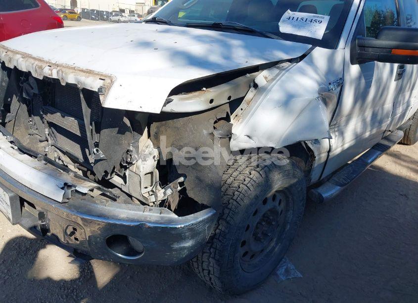 Photo 6 of 2010 Ford F-150 FX4/HARLEY-DAVIDSON/KING RANCH/LARIAT/PLATINUM/XL/XLT (VIN 1FTFW1EV5AFA11755)