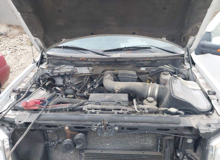 Photo 10 of 2010 Ford F-150 FX4/HARLEY-DAVIDSON/KING RANCH/LARIAT/PLATINUM/XL/XLT (VIN 1FTFW1EV5AFA58607)