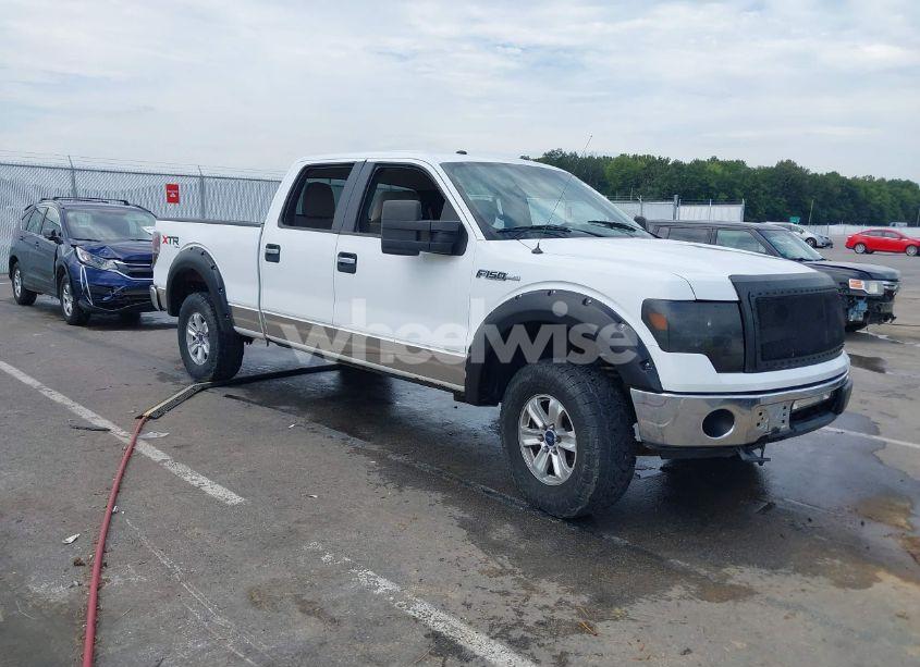 2010 Ford F-150 FX4/HARLEY-DAVIDSON/KING RANCH/LARIAT/PLATINUM/XL/XLT (VIN 1FTFW1EV5AFB56150) main photo