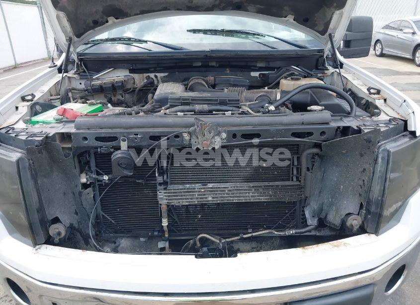 Photo 10 of 2010 Ford F-150 FX4/HARLEY-DAVIDSON/KING RANCH/LARIAT/PLATINUM/XL/XLT (VIN 1FTFW1EV5AFB56150)