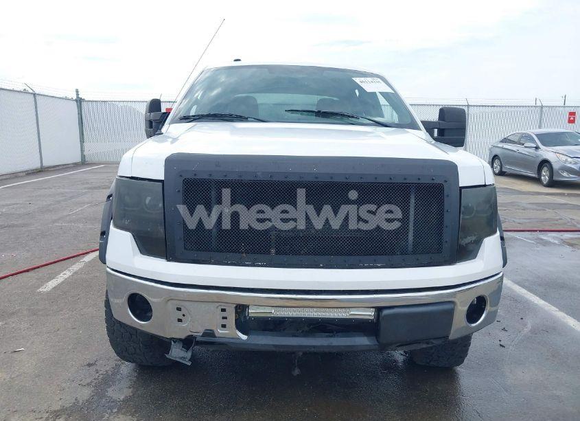 Photo 6 of 2010 Ford F-150 FX4/HARLEY-DAVIDSON/KING RANCH/LARIAT/PLATINUM/XL/XLT (VIN 1FTFW1EV5AFB56150)