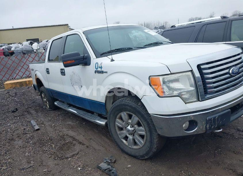 2010 Ford F-150 FX4/HARLEY-DAVIDSON/KING RANCH/LARIAT/PLATINUM/XL/XLT (VIN 1FTFW1EV5AFB62076) main photo