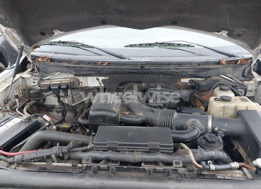 Photo 10 of 2010 Ford F-150 FX4/HARLEY-DAVIDSON/KING RANCH/LARIAT/PLATINUM/XL/XLT (VIN 1FTFW1EV5AFB62076)