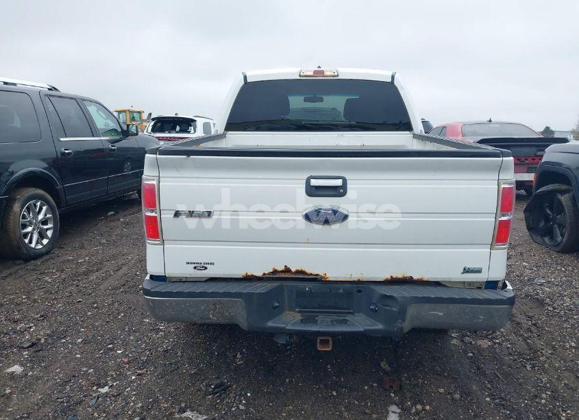 Photo 15 of 2010 Ford F-150 FX4/HARLEY-DAVIDSON/KING RANCH/LARIAT/PLATINUM/XL/XLT (VIN 1FTFW1EV5AFB62076)