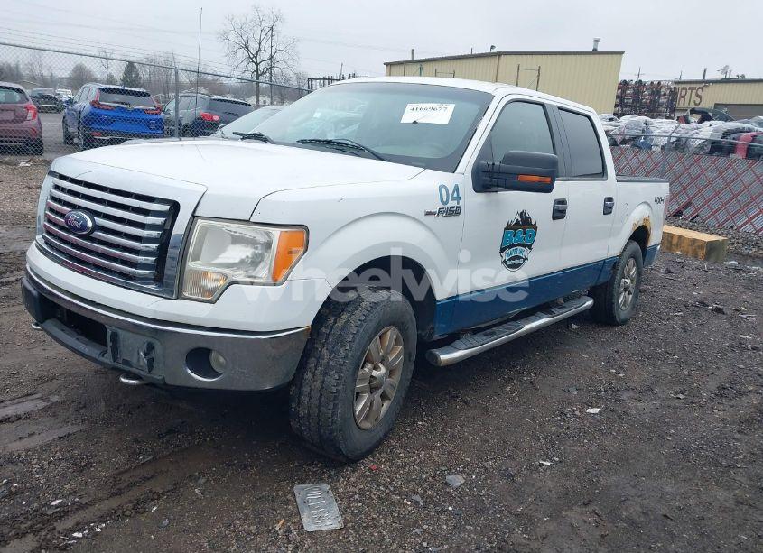 Photo 2 of 2010 Ford F-150 FX4/HARLEY-DAVIDSON/KING RANCH/LARIAT/PLATINUM/XL/XLT (VIN 1FTFW1EV5AFB62076)