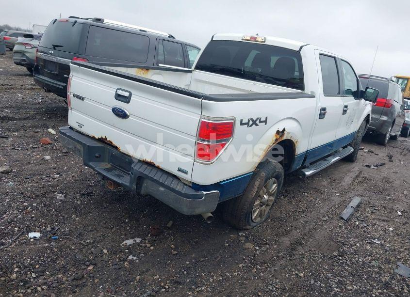 Photo 4 of 2010 Ford F-150 FX4/HARLEY-DAVIDSON/KING RANCH/LARIAT/PLATINUM/XL/XLT (VIN 1FTFW1EV5AFB62076)