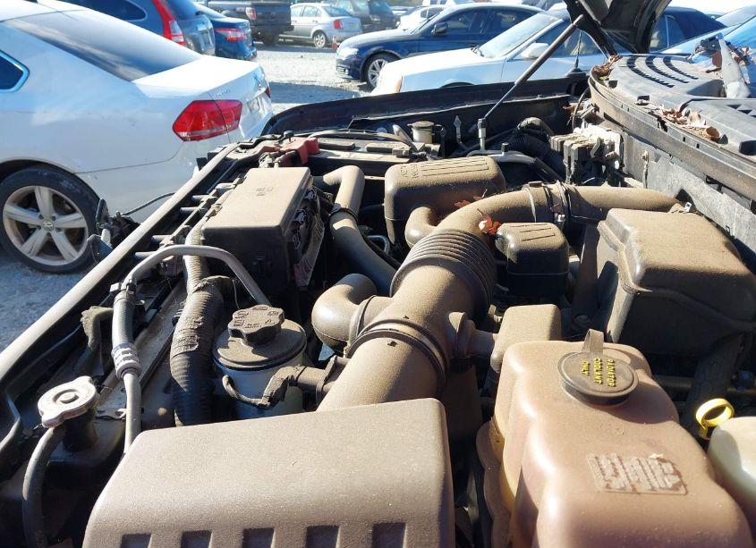 Photo 10 of 2010 Ford F-150 FX4/LARIAT/XL/XLT (VIN 1FTFW1EV5AFB69691)