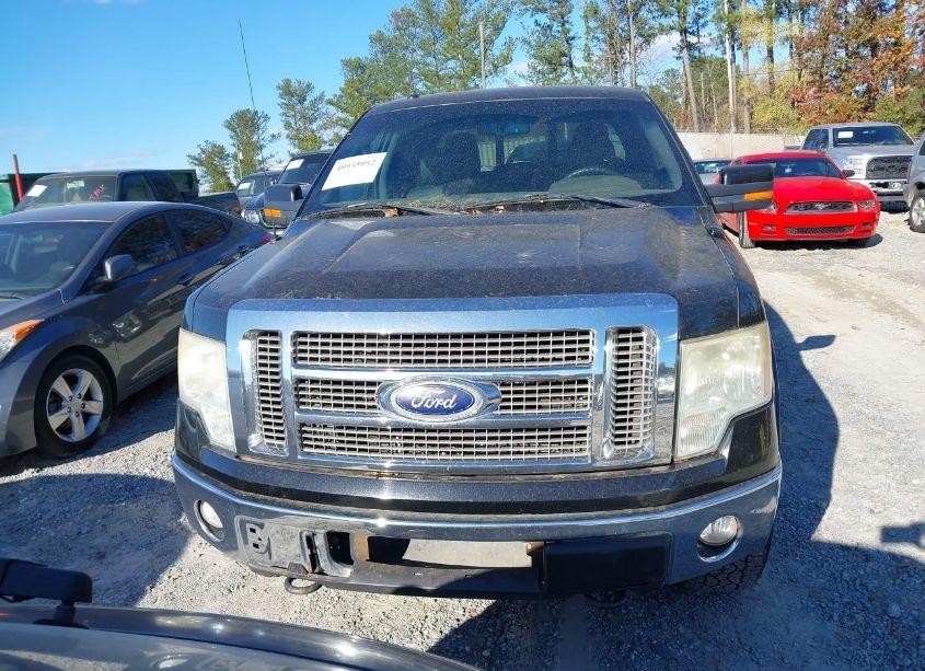 Photo 12 of 2010 Ford F-150 FX4/LARIAT/XL/XLT (VIN 1FTFW1EV5AFB69691)