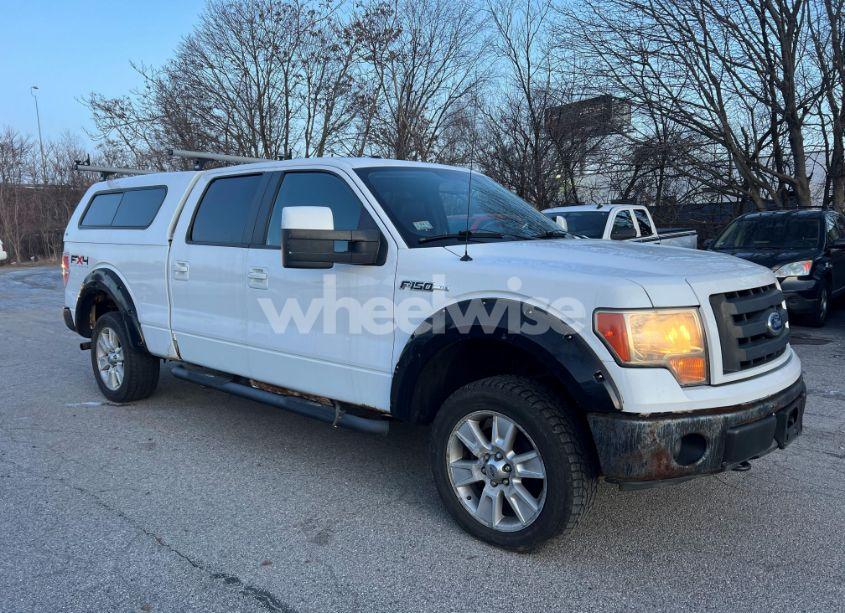 2010 Ford F-150 FX4/HARLEY-DAVIDSON/KING RANCH/LARIAT/PLATINUM/XL/XLT (VIN 1FTFW1EV5AFB79735) main photo