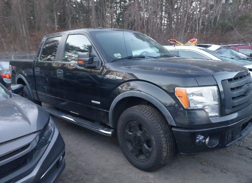 2010 Ford F-150 FX4/LARIAT/XL/XLT (VIN 1FTFW1EV5AFC20302) main photo