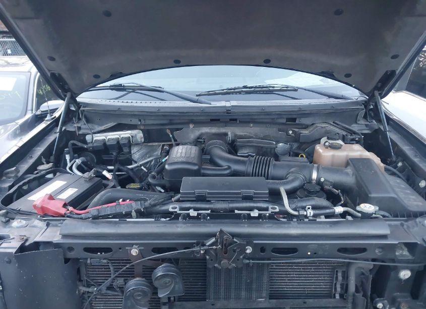 Photo 10 of 2010 Ford F-150 FX4/LARIAT/XL/XLT (VIN 1FTFW1EV5AFC20302)