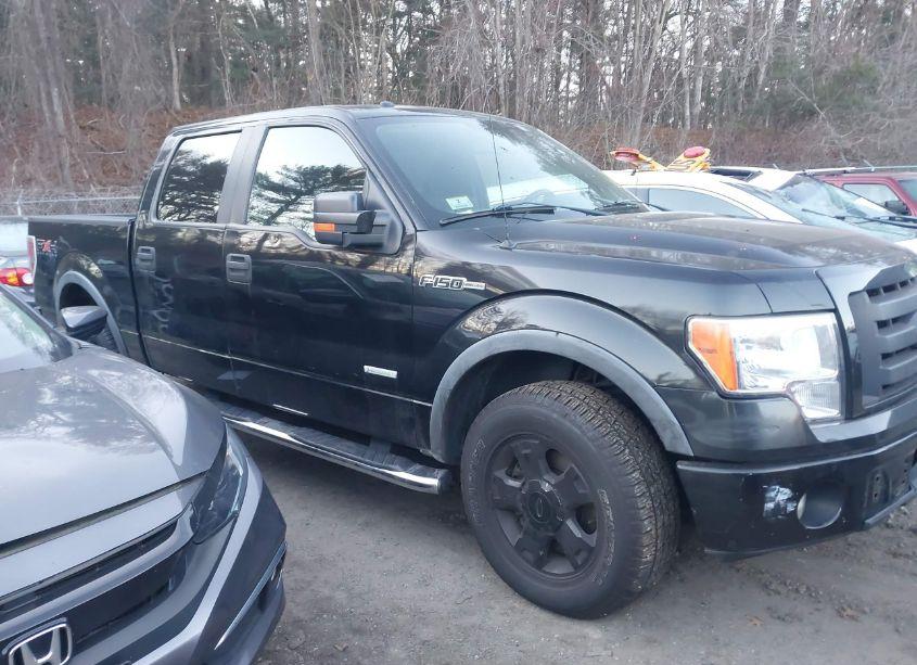 Photo 13 of 2010 Ford F-150 FX4/LARIAT/XL/XLT (VIN 1FTFW1EV5AFC20302)