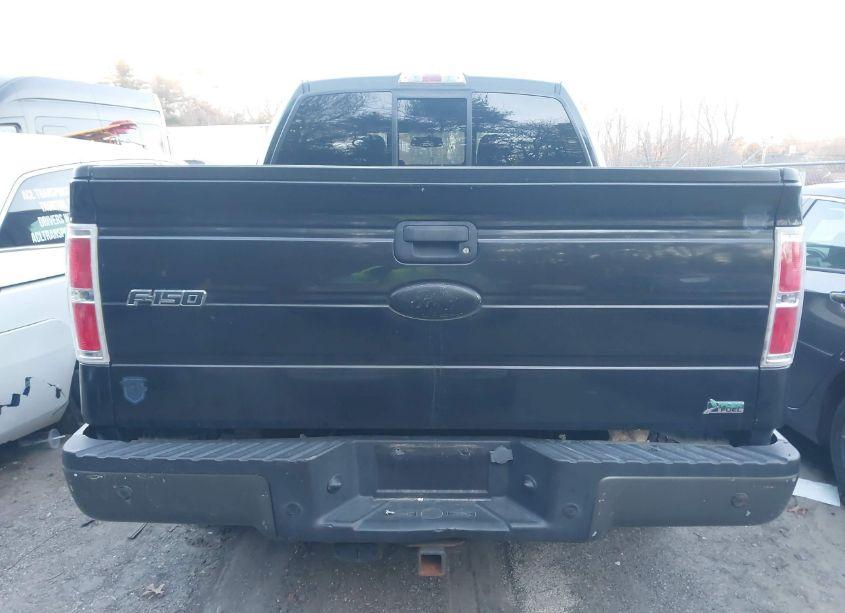 Photo 16 of 2010 Ford F-150 FX4/LARIAT/XL/XLT (VIN 1FTFW1EV5AFC20302)