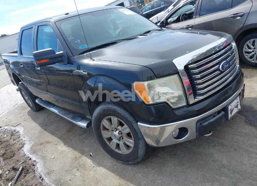 2010 Ford F-150 FX4/HARLEY-DAVIDSON/KING RANCH/LARIAT/PLATINUM/XL/XLT (VIN 1FTFW1EV5AFC81231) main photo