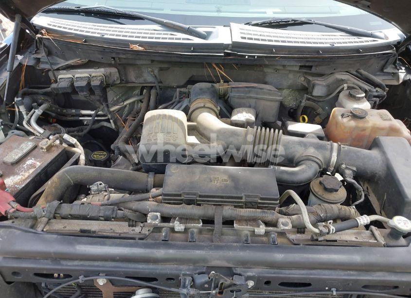 Photo 10 of 2010 Ford F-150 FX4/HARLEY-DAVIDSON/KING RANCH/LARIAT/PLATINUM/XL/XLT (VIN 1FTFW1EV5AFC81231)