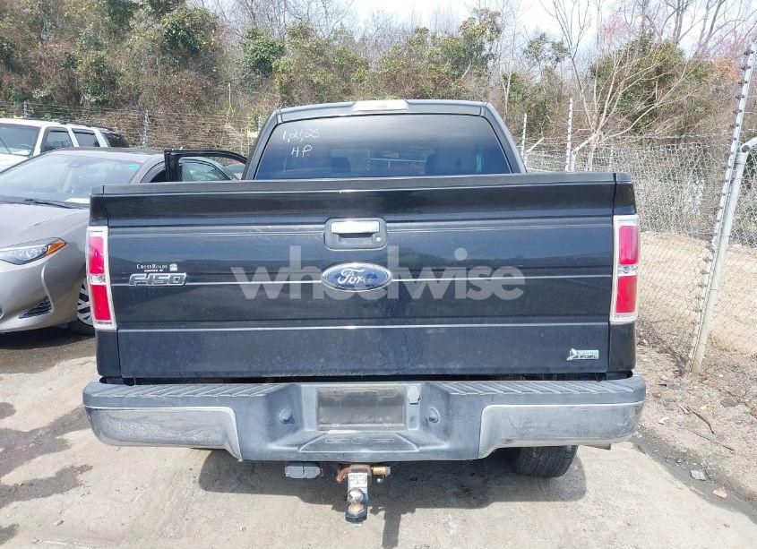 Photo 16 of 2010 Ford F-150 FX4/HARLEY-DAVIDSON/KING RANCH/LARIAT/PLATINUM/XL/XLT (VIN 1FTFW1EV5AFC81231)