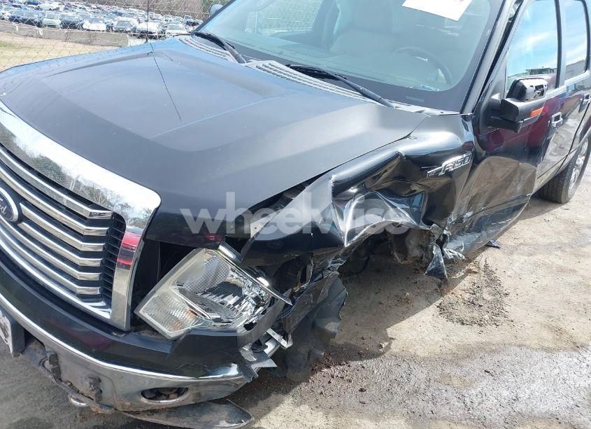 Photo 17 of 2010 Ford F-150 FX4/HARLEY-DAVIDSON/KING RANCH/LARIAT/PLATINUM/XL/XLT (VIN 1FTFW1EV5AFC81231)