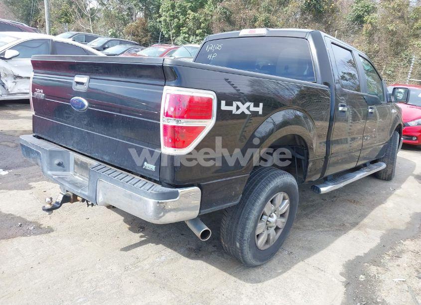 Photo 4 of 2010 Ford F-150 FX4/HARLEY-DAVIDSON/KING RANCH/LARIAT/PLATINUM/XL/XLT (VIN 1FTFW1EV5AFC81231)