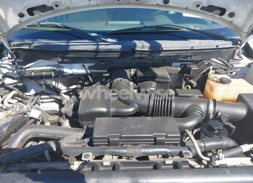 Photo 10 of 2010 Ford F-150 FX4/HARLEY-DAVIDSON/KING RANCH/LARIAT/PLATINUM/XL/XLT (VIN 1FTFW1EV5AFD51133)