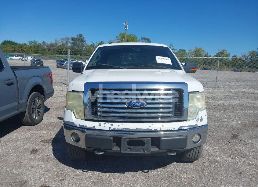 Photo 13 of 2010 Ford F-150 FX4/HARLEY-DAVIDSON/KING RANCH/LARIAT/PLATINUM/XL/XLT (VIN 1FTFW1EV5AFD51133)