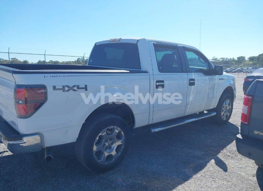 Photo 14 of 2010 Ford F-150 FX4/HARLEY-DAVIDSON/KING RANCH/LARIAT/PLATINUM/XL/XLT (VIN 1FTFW1EV5AFD51133)