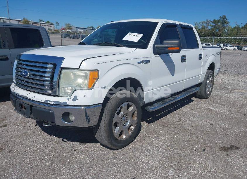 Photo 2 of 2010 Ford F-150 FX4/HARLEY-DAVIDSON/KING RANCH/LARIAT/PLATINUM/XL/XLT (VIN 1FTFW1EV5AFD51133)